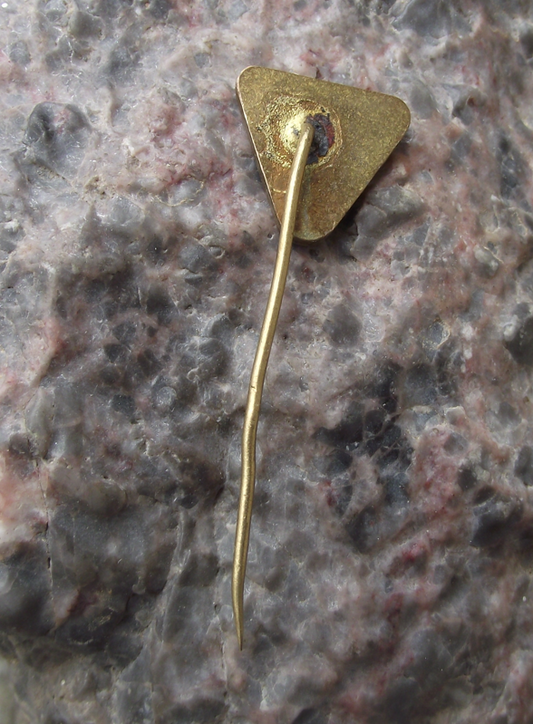 Vintage TJ Gottwaldov Zlin Ice Hockey Ledni Hokej Club Pin Badge - Badgecrazy