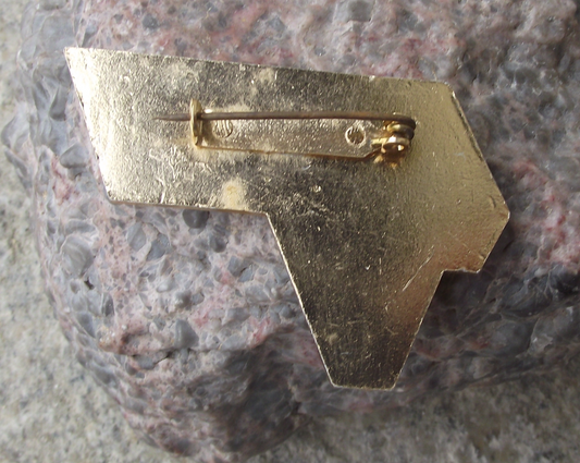 Vintage Air Guinee Express Guinea African National Airlines Pin Badge - Badgecrazy