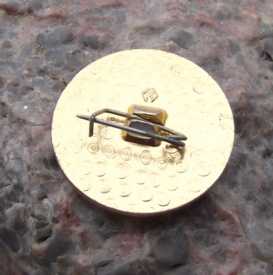 Vintage UNSTB National Workers Trade Union Benin Africa Pin Badge