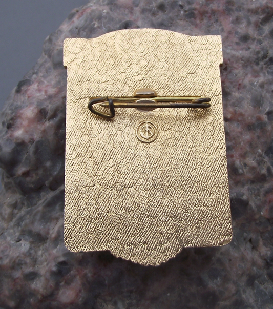 Vintage CLATE Latin American Trade Union Association Pin Badge
