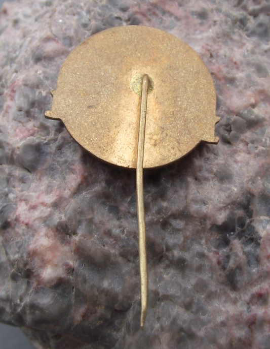 1958 IUS International Students Union Peking China Sanatorium Pin Badge