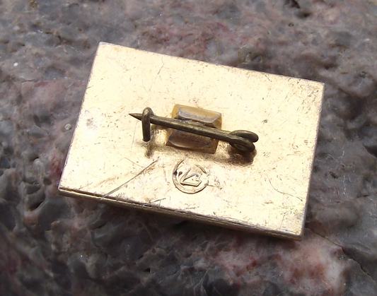 1965 Voskhod 2 Soviet Space Mission First Cosmonaut Space Walk Pin Badge - Badgecrazy