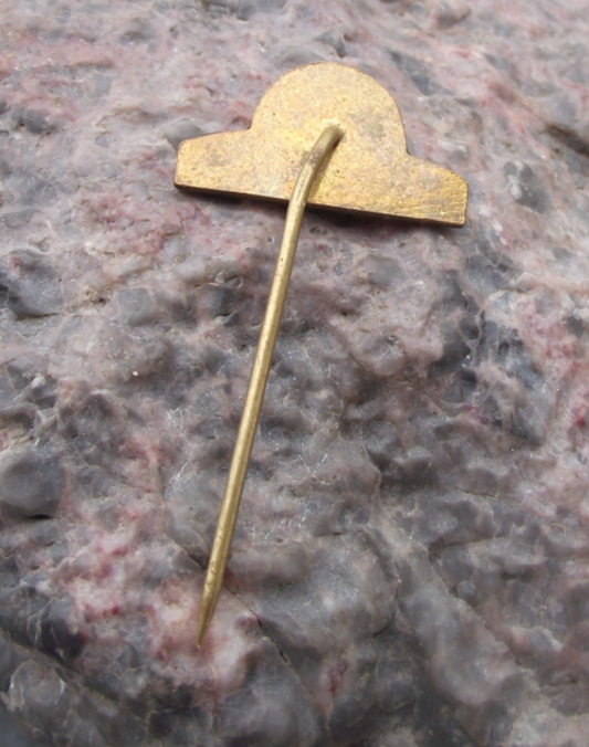 1971 AVIA Brno Automobile Truck Company 10th Anniversary Bird Logo Pin Badge