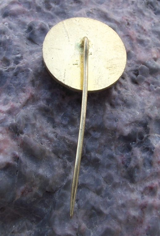 1979 AVIA Aviation Aircraft Truck Company 60th Anniversary Flying Bird Pin Badge - Badgecrazy