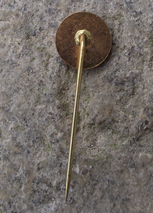 Vintage Tatra Smichov Veslařský Oddíl Trams Railway Rowing Club Pin Badge