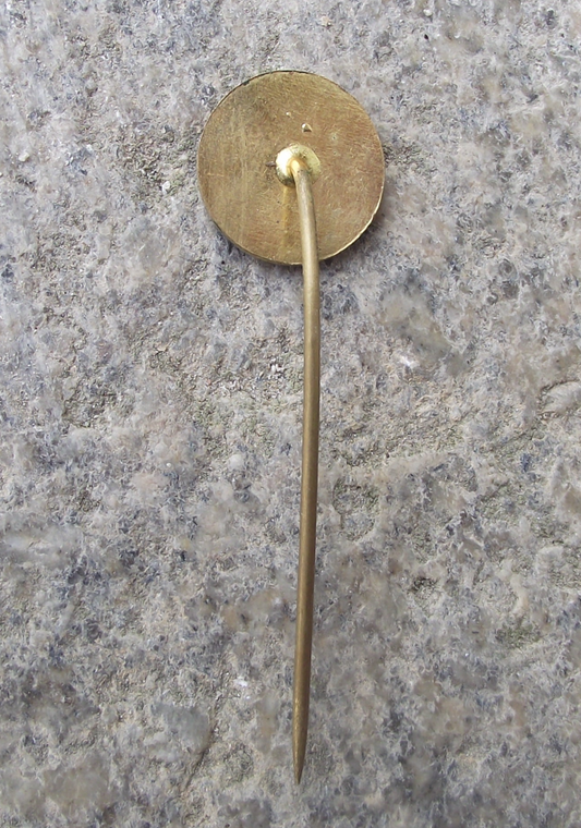 Vintage Tatra Vehicles Car Factory Bánovce Kopřivnice Pin Badge - Badgecrazy