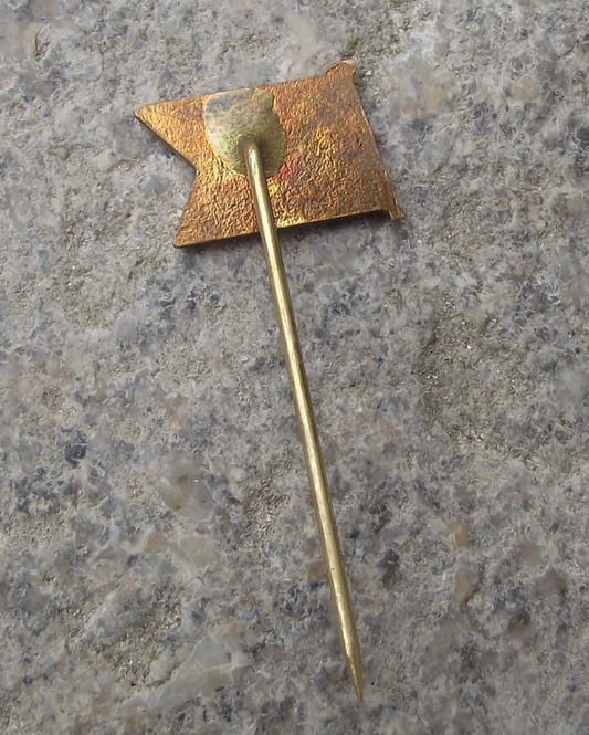 Vintage IL Viking Stavanger 1899 Multi Sports Club Norway Flag Pin Badge