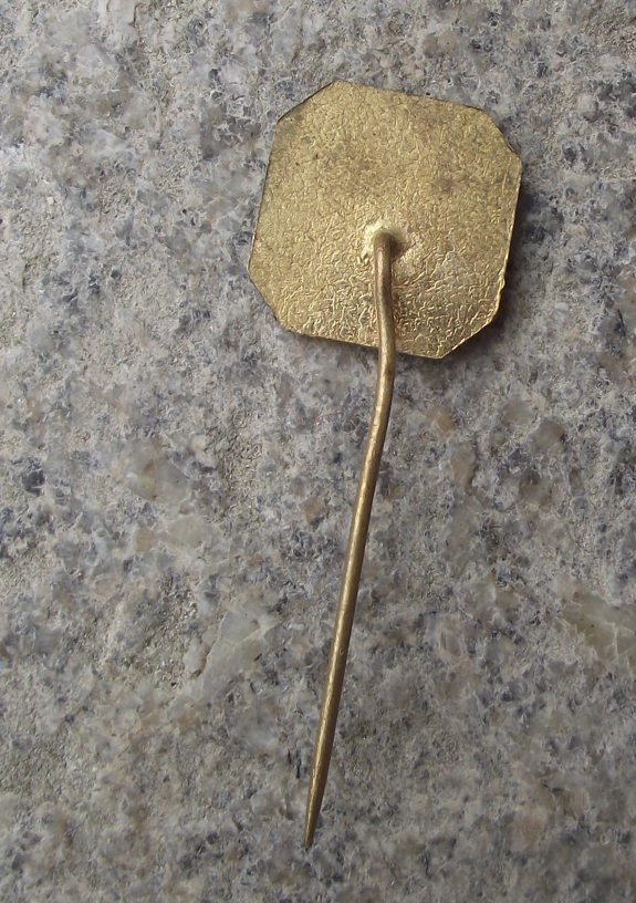 Vintage Czech Tatra 1904 Car Maker Collectible Pin Badge - Badgecrazy