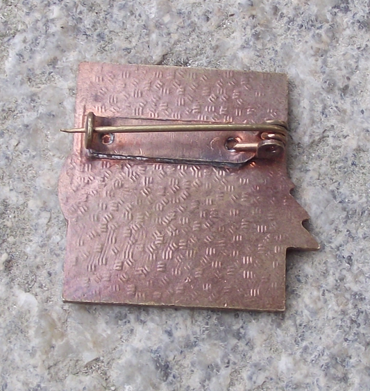 Vintage Czech Pioneer Pionyr Compass and Pine Trees Orienteering ROH Pin Badge - Badgecrazy