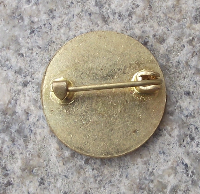 Vintage UNEA General Union of Algerian Students Membership Pin Badge
