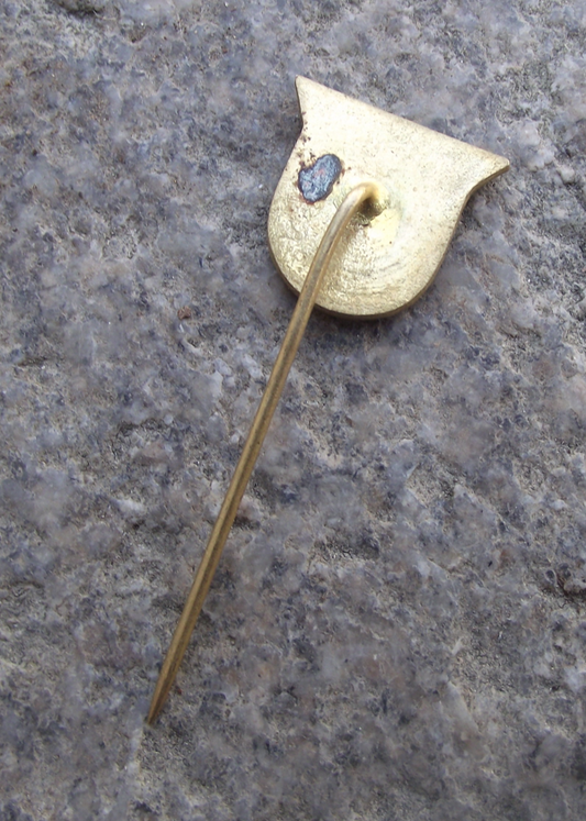 Vintage Prerov Ice Hockey Club TJ Lokomotiva Meochema Pin Badge - Badgecrazy