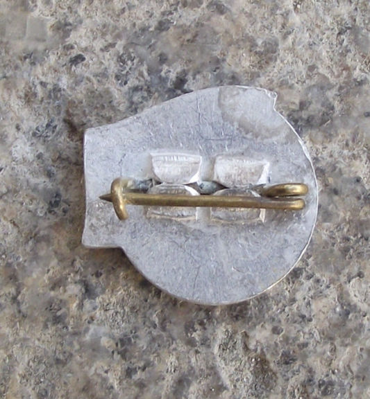 Vintage Latvia Latvian Soviet Socialist Republic SSR National Flag Pin Badge