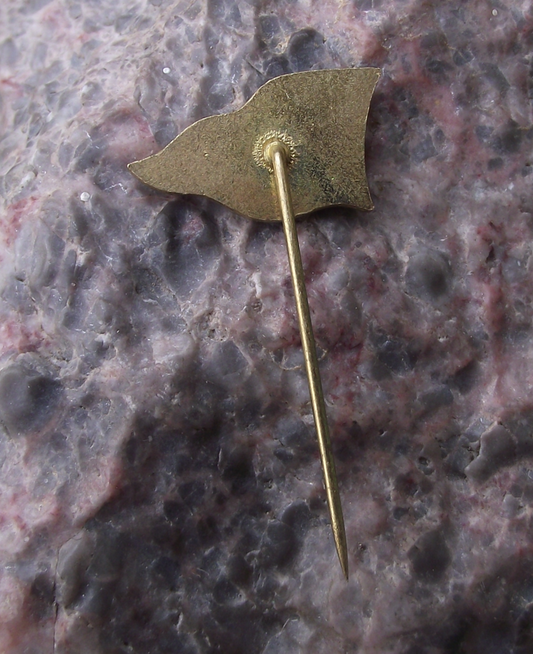 Vintage Czechoslovakia YCD Yacht Club Doksy Pennant Flag Pin Badge