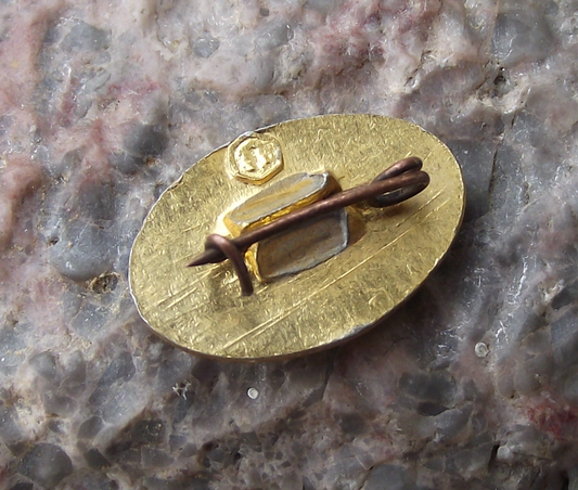 1962 Flying Dove over Moscow World Peace Friendship Bird Pin Badge