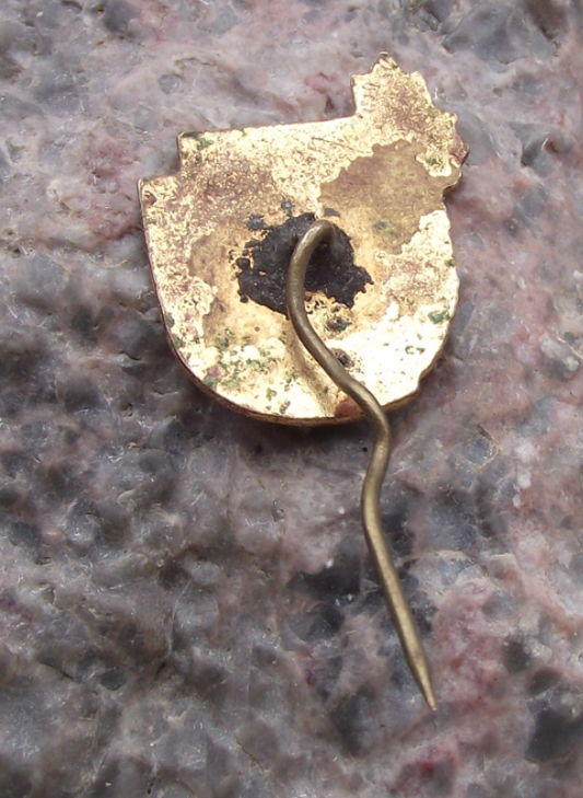 Vintage Bulgarian Young Pioneer Youth Group Camping Compass Pin Badge