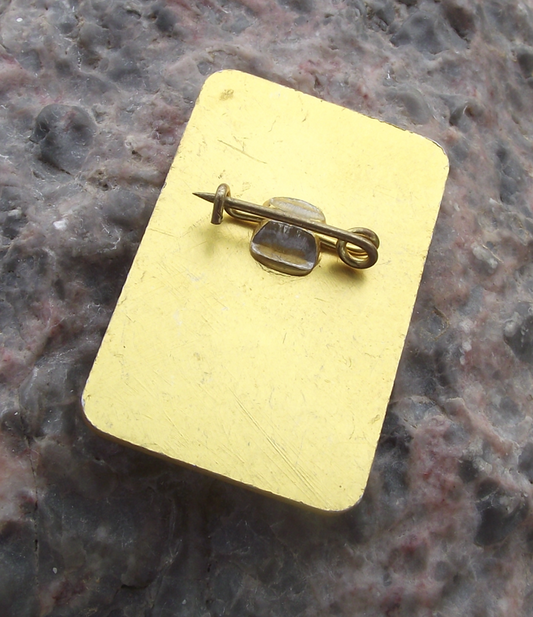 Vintage Bulgaria Youth Pioneer Organization National Emblem Lion Pin Badge - Badgecrazy