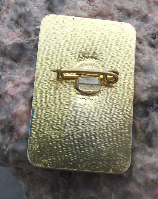 Vintage Bulgaria Youth Pioneer Organization Paint Brush Artist Pin Badge - Badgecrazy