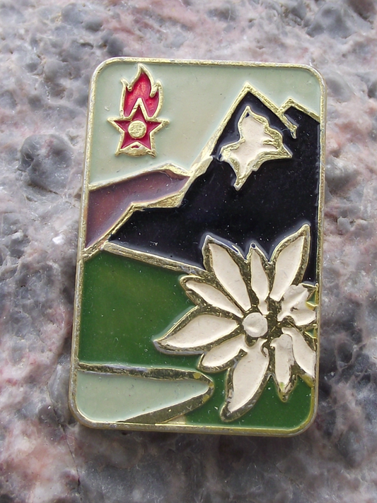 Vintage Bulgaria Youth Pioneer Organization Edelweiss Mountain Pin Badge