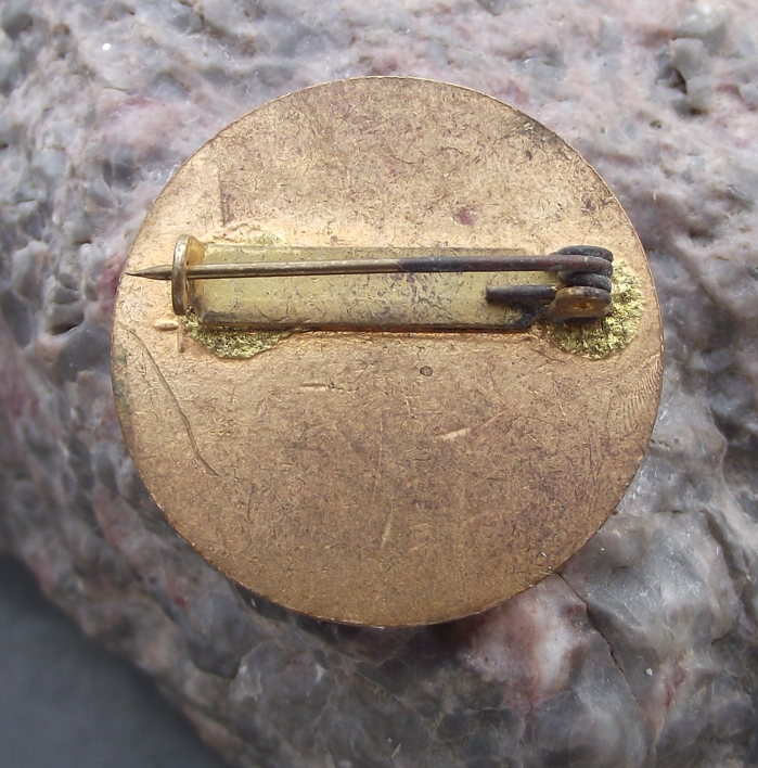 Vintage Czech Pioneer Pionyr Camp House Construction Level 1 ROH Pin Badge - Badgecrazy