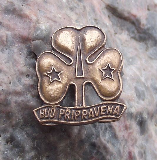 Vintage Czechoslovakia Girl Guides Be Prepared Clover Leaf Trefoil Pin Badge