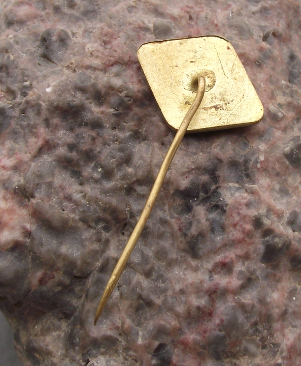 Vintage Bratislava Railway Headquarters Slovakia Train System HQ Pin Badge