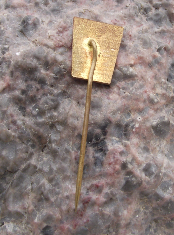 Vintage Czech Railways Track Electrification CSD Prague Pin Badge