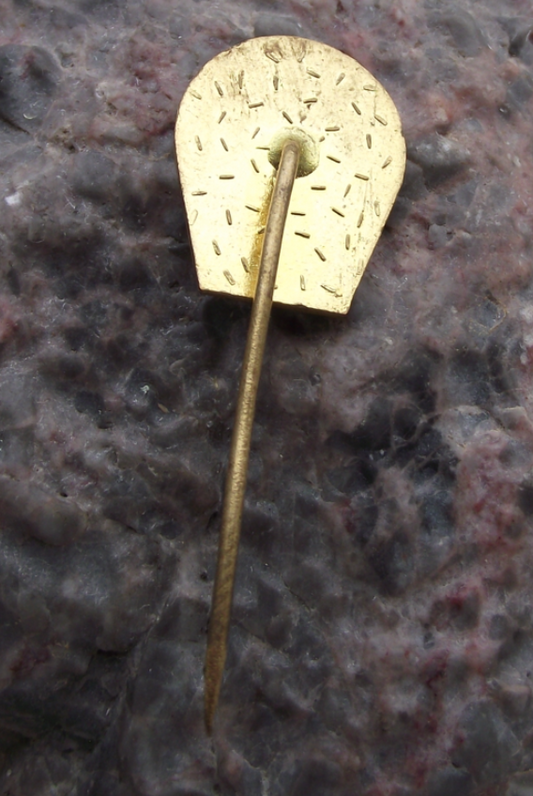 Vintage Czech Railways CSD Usti nad Labem Bridge Department Train Pin Badge