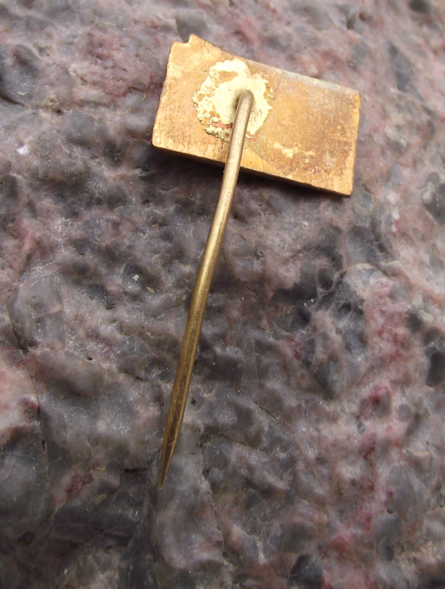 Vintage Czech Railways CSD Great Worker Award Train Pin Badge