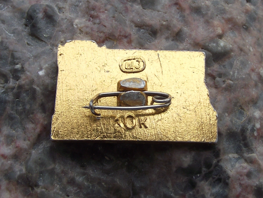 Vintage Soviet Union Train Engine Kolomna City Russian Railway Pin Badge