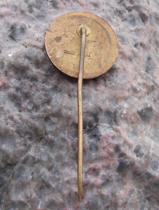 Valdstejnska Prague 1 Pub Bar Hospoda Beer Brewery Waldstejnska Pin Badge