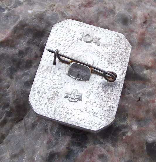 Vintage Valerian Kuybyshev Soviet Union Russian Bolshevik Politician Pin Badge