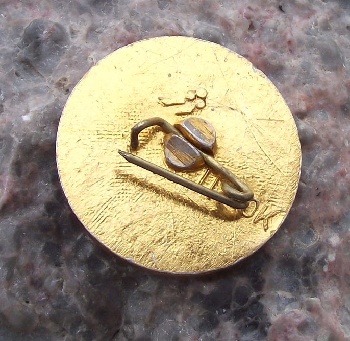 Vintage Vera Kharuzhaya Belarusian Communist Writer Pin Badge