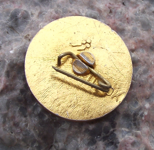 Vintage Vera Kharuzhaya Belarusian Communist Writer Pin Badge