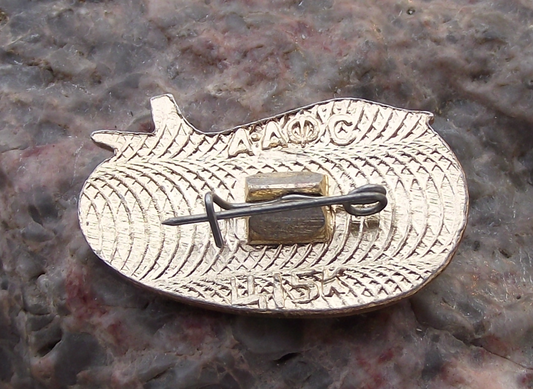 Vintage Tu-144 Tupolev Airliner Moscow Almaty Route Alma Ata Pin Badge