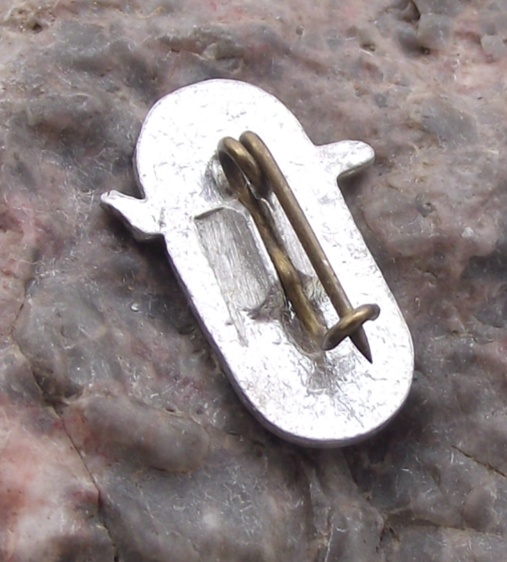 Vintage Aeroflot Russian Soviet Airlines Jet Airliner Aircraft Logo Pin Badge