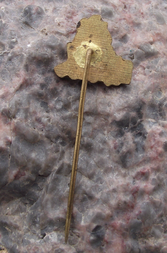 1969 Czechoslovakia Pioneer Youth Group Movement 20th Anniversary Pin Badge