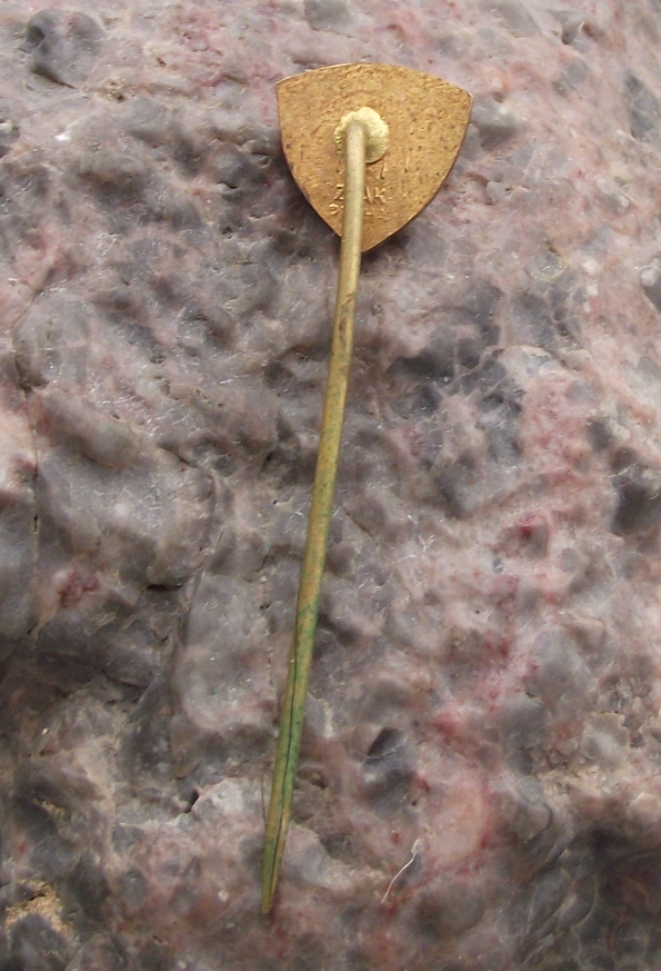 Vintage Tesla Electronics VUST Logo Pin Badge