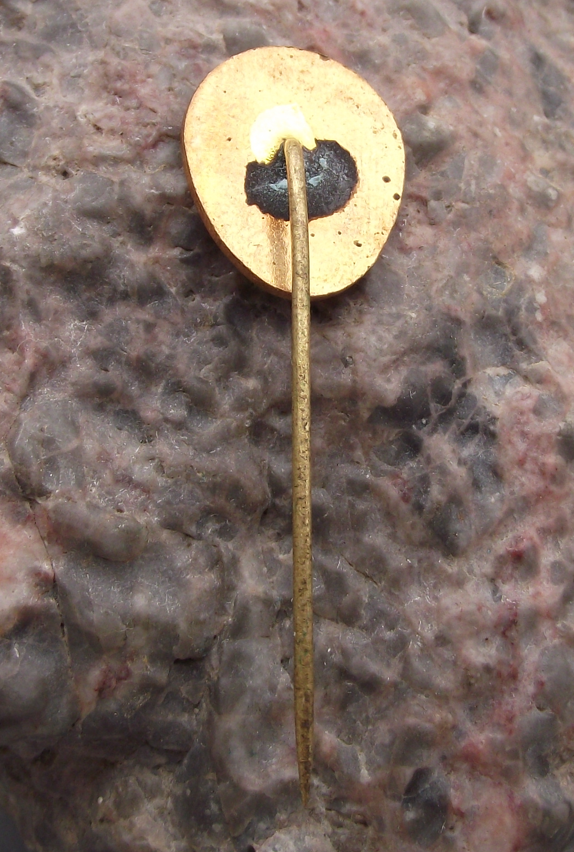 1972 Tesla Valašské Měřici Pin Badge