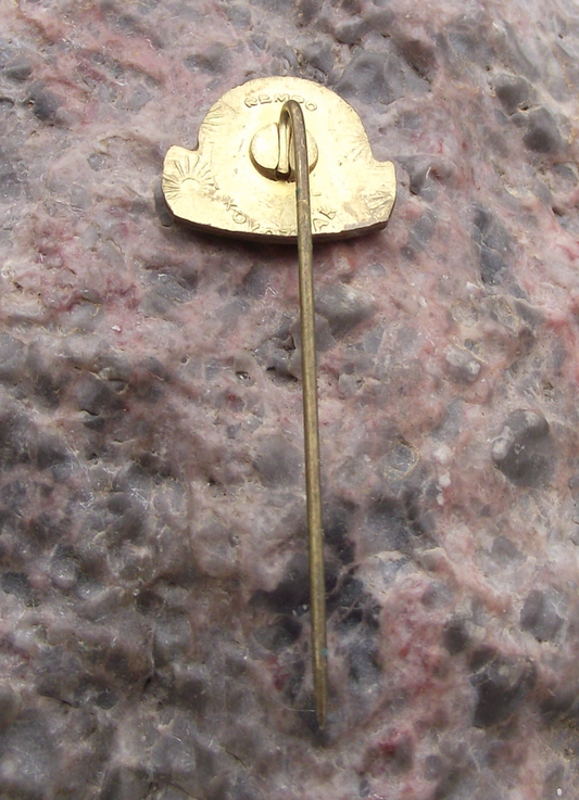 1975 Tesla Liptovský Hrádok Pin Badge 25th Anniversary Pin Badge