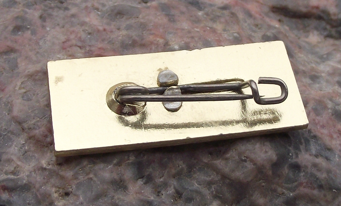 Vintage ROBUR LO 3000 East German GDR DDR Truck & Bus Maker Pin Badge