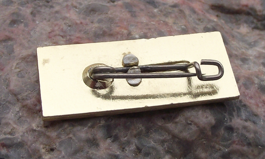 Vintage ROBUR LO 3000 East German GDR DDR Truck & Bus Maker Pin Badge