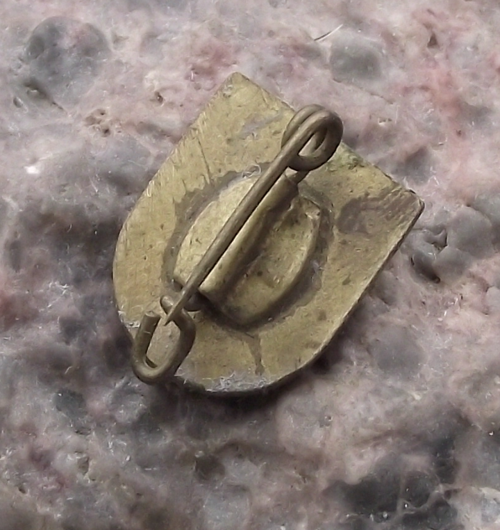 Vintage Karl Marx University HSG Leipzig Sports Association Pin Badge