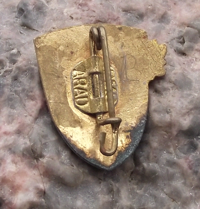 Vintage Lacul Rosu Lake and Mountain Peaks Edelweiss Romania Pin Badge