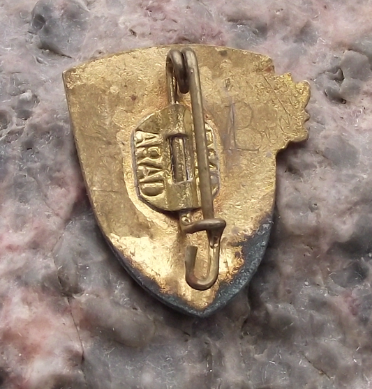 Vintage Lacul Rosu Lake and Mountain Peaks Edelweiss Romania Pin Badge