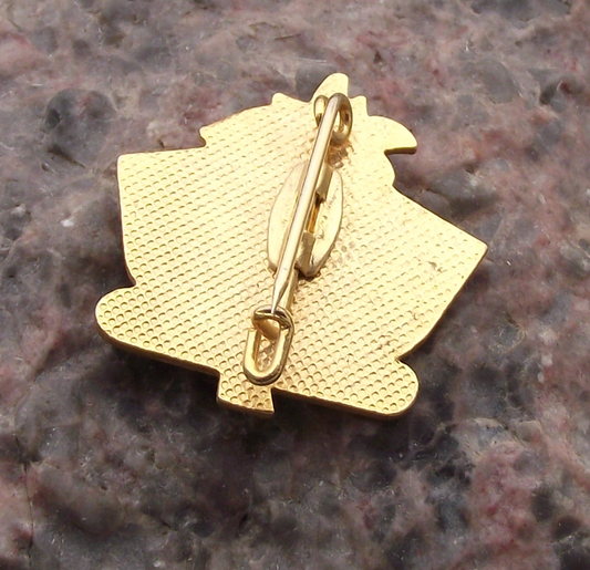 Vintage Wildschonau Tyrol Tirol Austria Tourist Crest Edelweiss Pin Badge