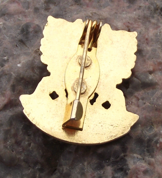 Vintage South Tyrol Tirol Austria Tourist Crest Sudtirol Red Eagle Pin Badge