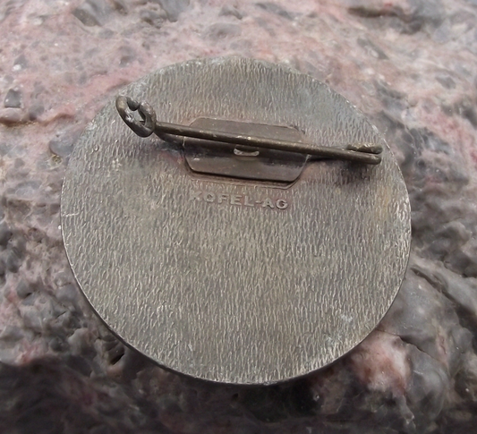 Vintage Austria Passo Vizze 2276m Pfitscherjoch Mountain Pass Pin Badge