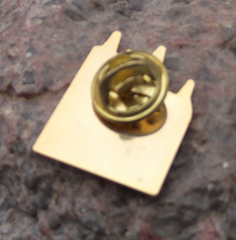 Vintage Lyon Basilica of Notre-Dame de Fourvière Castle Church Pin Badge