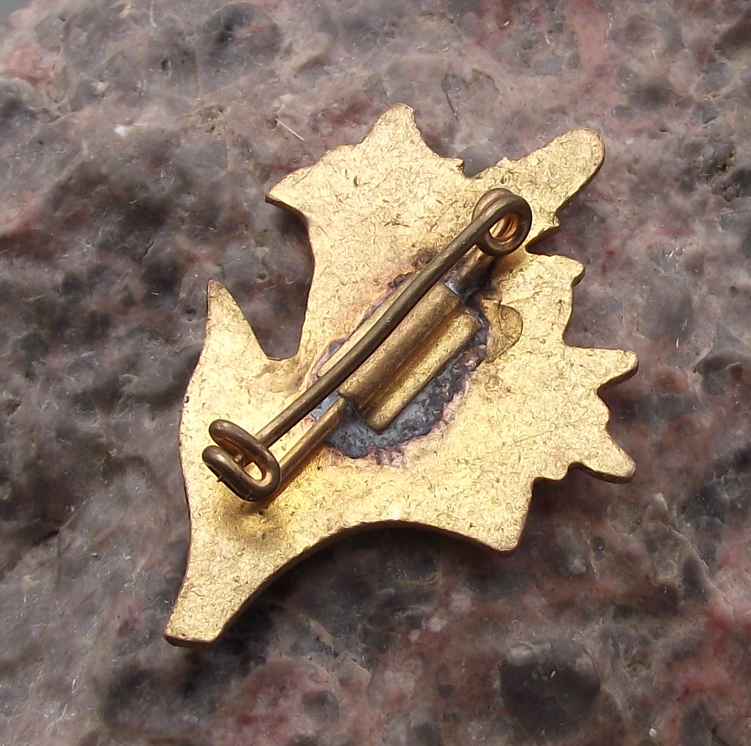 Vintage Dolomite Mountains Edelweiss and Campanula Flowers Pin Badge