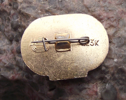 1980 Moscow Summer Olympic Games Oval Volleyball Pin Badge